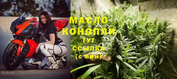 стаф Богородск
