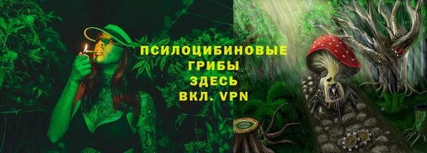 прущая мука Богданович