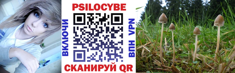 Псилоцибиновые грибы мицелий  Новоузенск 